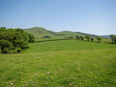 Picture 28